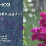 До +31 градусів: прогноз погоди у Тернополі на 8 липня