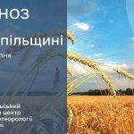 До 27° тепла: прогноз погоди у Тернополі на 1 серпня