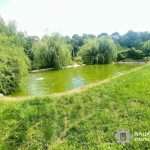 На Кременеччині ледь не втопився трирічний хлопчик. Дитина у важкому стані