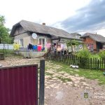 На Тернопільщині чоловік до смерті побив дружину. П’ятеро дітей залишилися сиротами