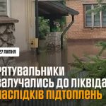 Вишнівець вода