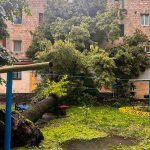 У Тернополі під час буревію дерево впало на житловий будинок