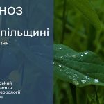 погода серпень