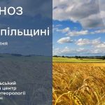 До 32° тепла: прогноз погоди у Тернополі на 10 серпня