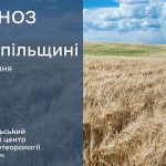 погода серпень