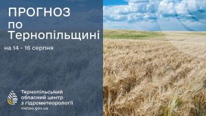 погода серпень