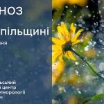 погода серпень