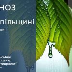 погода серпень