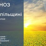 Без опадів: прогноз погоди у Тернополі на 26 серпня