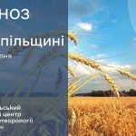 Без опадів: прогноз погоди у Тернополі на 8 серпня