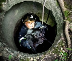 собака колодязь