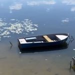 Багаторічна робота міської ради по очистці Тернопільського ставу дала результати: немає водоростей та смороду