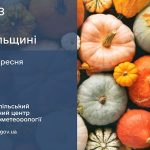 гарбузи