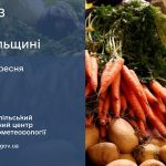Без опадів: прогноз погоди у Тернополі на 13 вересня