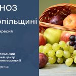 погода вересень