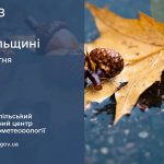 погода жовтень