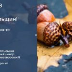 погода жовтень