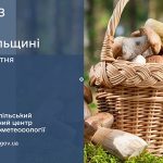 погода жовтень