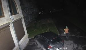 знімок екрана