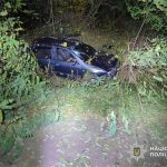 У Вишнівці п’яний водій “Шкоди” злетів з дороги