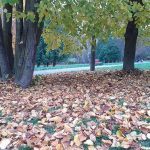 погода листопад