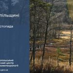 Без опадів: прогноз погоди у Тернополі на 20 листопада