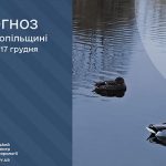 качки на воді