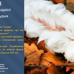 Невеликі дощі: прогноз погоди у Тернополі на 12 грудня