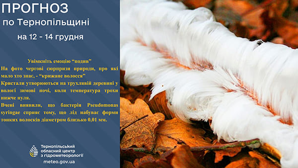 крижане волосся