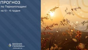 погода грудень