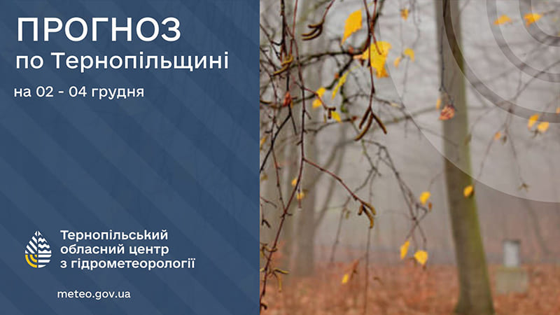 погода грудень