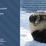 погода у грудні