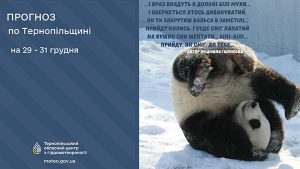 погода у грудні