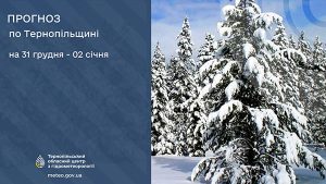 Сніг та хуртовина: прогноз погоди у Тернополі на 31 грудня