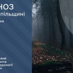 погода грудень