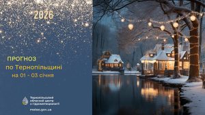 Сніг та ожеледиця: прогноз погоди у Тернополі на 1 січня