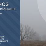 погода туман