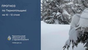До 16° морозу: прогноз погоди у Тернополі на 10 січня