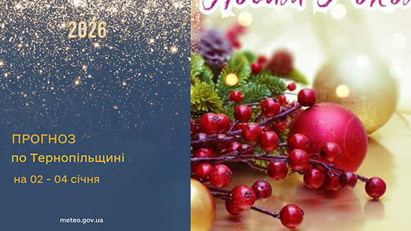 До 2° тепла: прогноз погоди у Тернополі на 2 січня