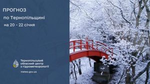 До 16° морозу: прогноз погоди у Тернополі на 20 січня