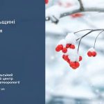 До 2° тепла: прогноз погоди у Тернополі на 26 січня
