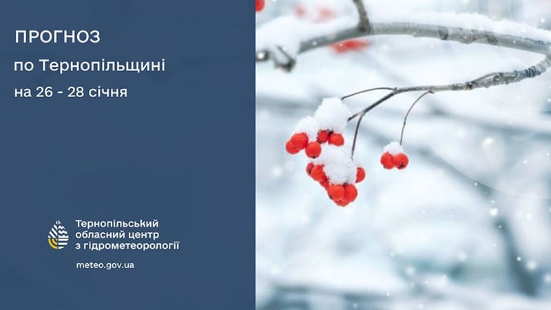 До 2° тепла: прогноз погоди у Тернополі на 26 січня