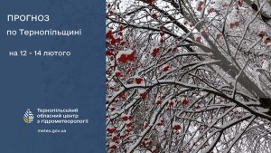 До 5° тепла: прогноз погоди у Тернополі на 12 лютого