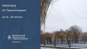 До 4° тепла: прогноз погоди у Тернополі на 24 лютого