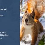 До 3° тепла: прогноз погоди у Тернополі на 26 лютого