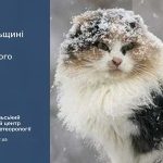 Дощ та ожеледиця: прогноз погоди у Тернополі на 6 лютого