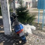 У Підгайцях жінка на мопеді в’їхала у припарковані автомобілі