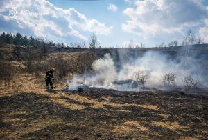 горить трава