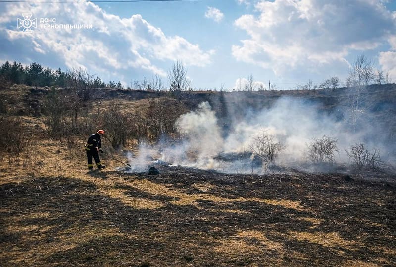 горить трава