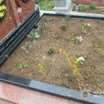 наруга над могилою